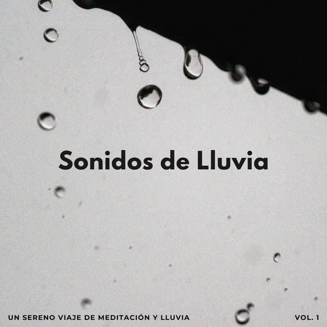 Sonidos De Lluvia: Un Sereno Viaje De Meditación Y Lluvia - Meditación de lluvia