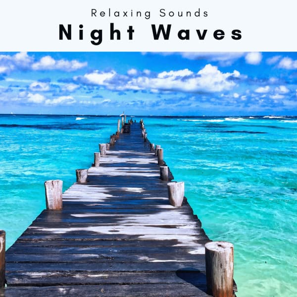2022 Night Waves - Sleep Tech