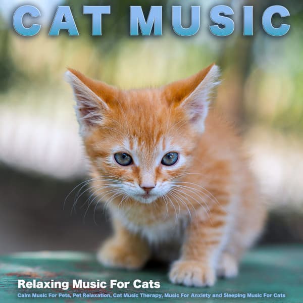 Cat Music: Relaxing Music For Cats, Calm Music For Pets, Pet Relaxation, Cat Music Therapy, Music For Anxiety and Sleeping Music For Cats - Cat Music