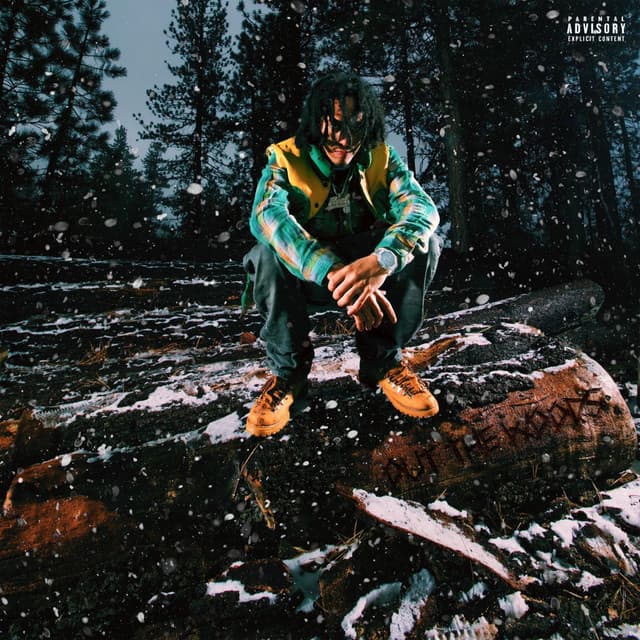 Out The Woods - Tony Shhnow