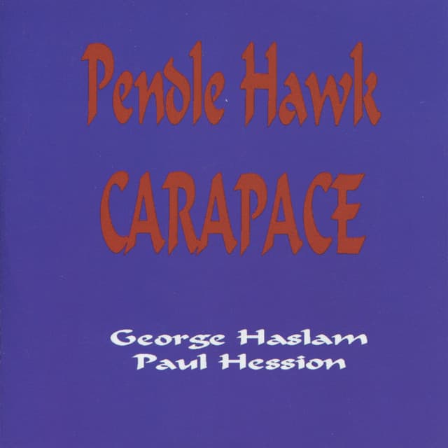 Pendle Hawk Carapace - George Haslam