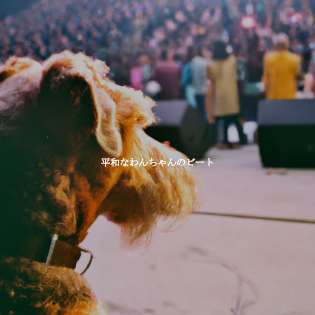 平和なわんちゃんのビート - Instrumental Soft Jazz