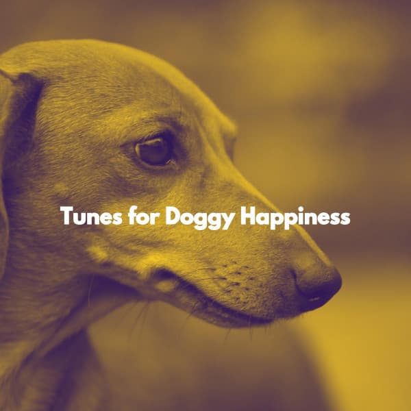 Tunes for Doggy Happiness - Instrumental Music for Concentration