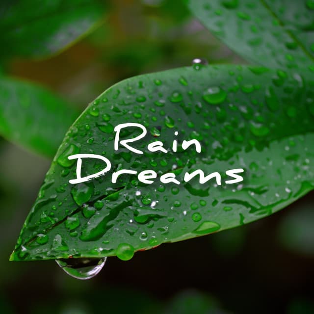 Rain Dreams - Spa Music