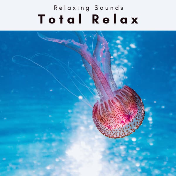 2022 Total Relax - Soothing Waves Of Nerja