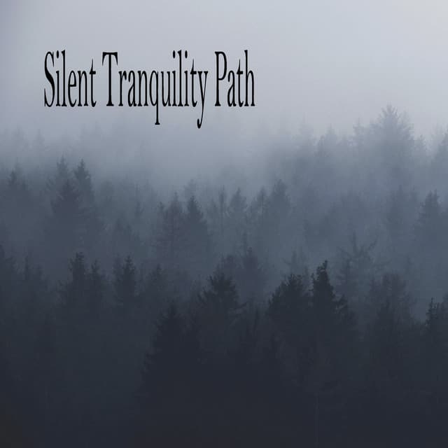 Silent Tranquility Path - Musica Relajante