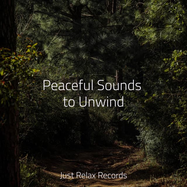 Peaceful Sounds to Unwind - Musica para Meditar