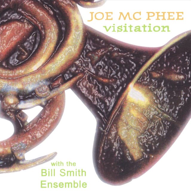 Visitation - Joe Mcphee