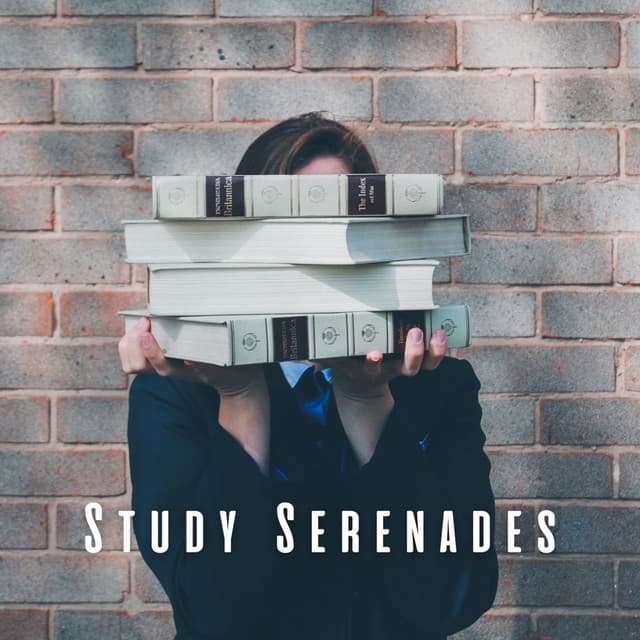Study Serenades: Ambient Music for Productive Learning - Calming Beats