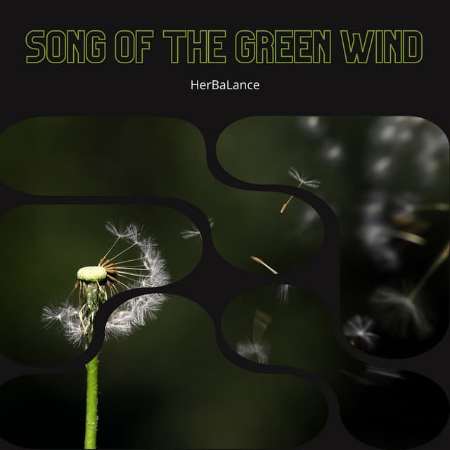 Song of the Green Wind: The Melissa's Lead - HerBaLance