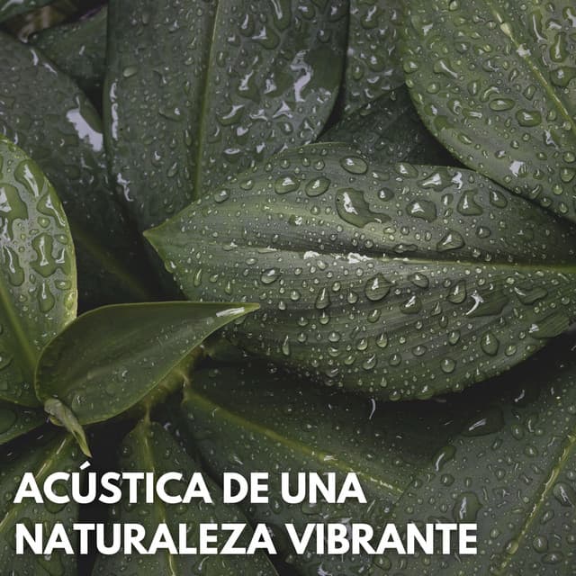 Acústica De Una Naturaleza Vibrante - Naturaleza suena colaboración