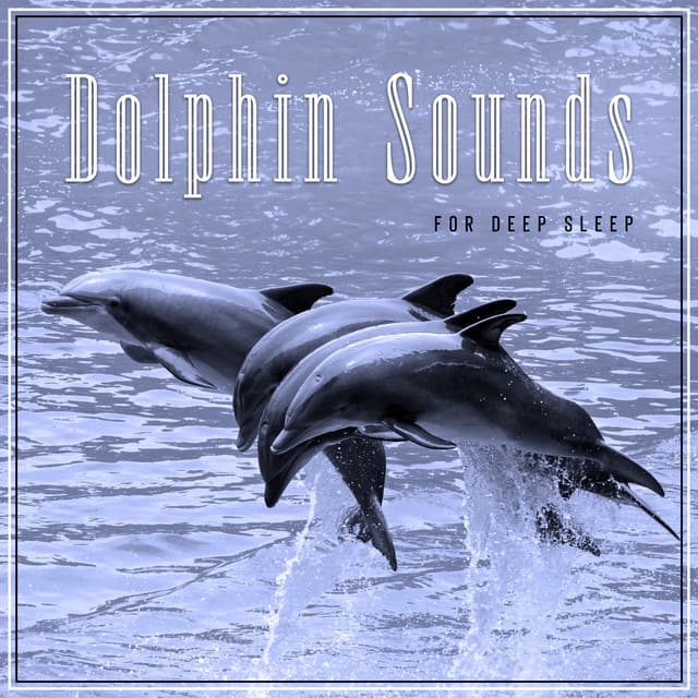 Dolphin Sounds for Deep Night Drift - Tina Amalier