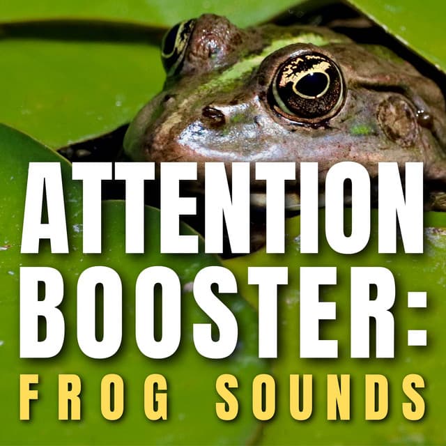 Attention Booster: Frog Sounds - Frog Sounds