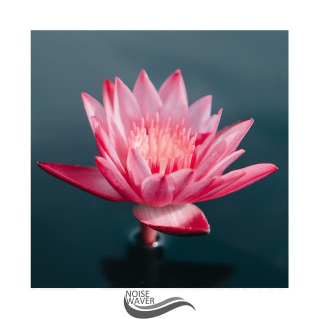 Sleeping Force - Mixed Noise Bank