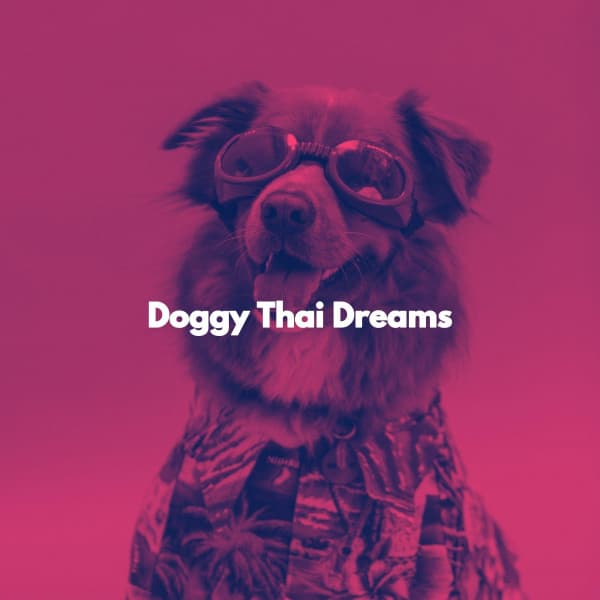 Doggy Thai Dreams - Dinner & Instrumental Jazz
