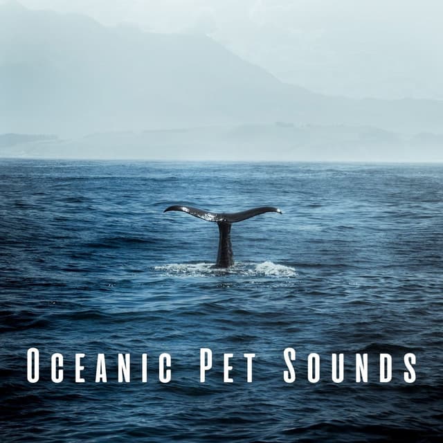 Oceanic Pet Sounds: Binaural Harmony with Theta Waves - 432 Hz Frequencies