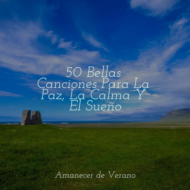 50 Bellas Canciones Para La Paz, La Calma Y El Sueño - Zen Music Garden