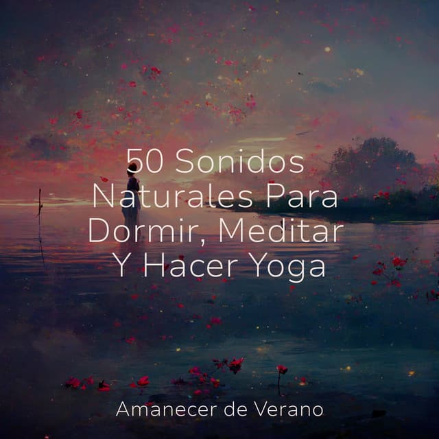 50 Sonidos Naturales Para Dormir, Meditar Y Hacer Yoga - Sonido Del Bosque y Naturaleza