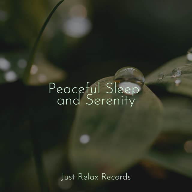 Peaceful Sleep and Serenity - Anxiety Relief