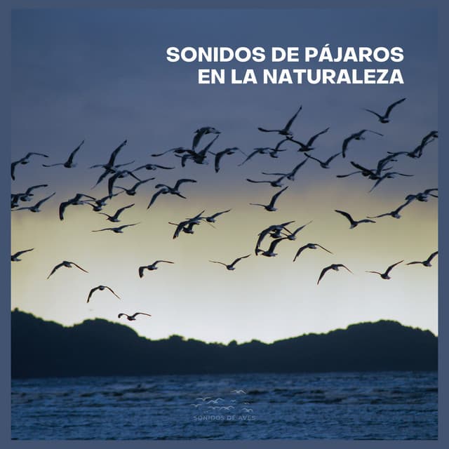 Sonidos de Pájaros en la Naturaleza - Sonidos De Aves
