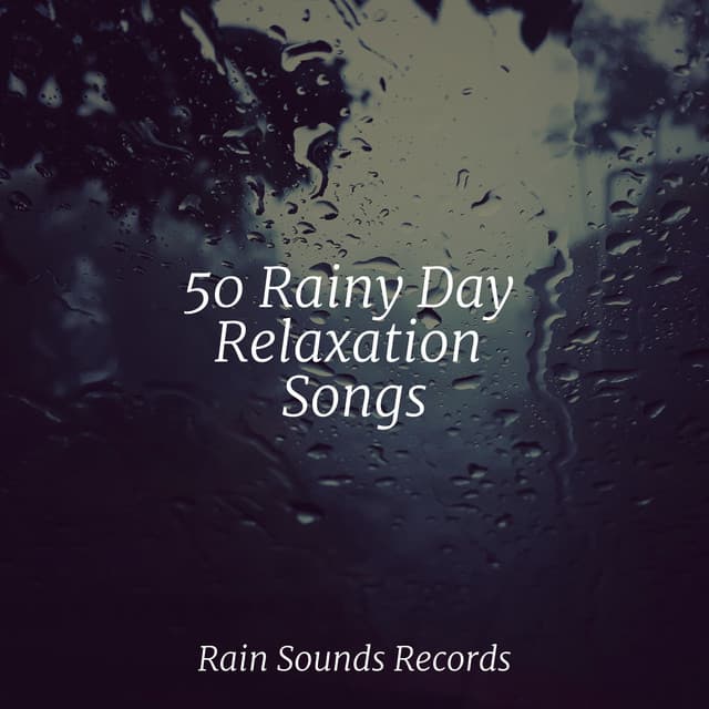 50 Rainy Day Relaxation Songs - Relaxing Mindfulness Meditation Relaxation Maestro