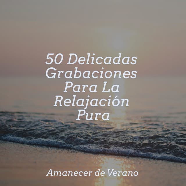 50 Delicadas Grabaciones Para La Relajación Pura - Sonido Del Bosque y Naturaleza