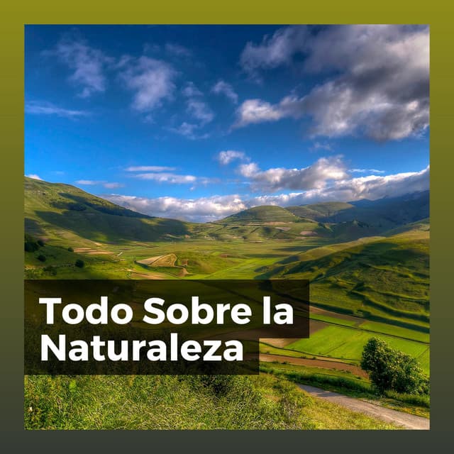 Todo Sobre la Naturaleza - Sonidos de la Naturaleza para Dormir