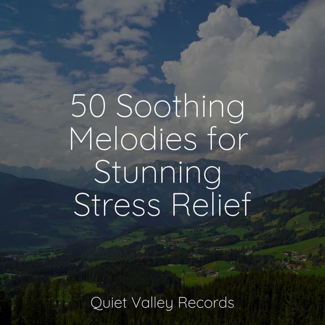 50 Soothing Melodies for Stunning Stress Relief - Tonal Meditation Collective