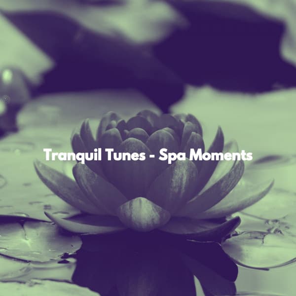 Tranquil Tunes - Spa Moments - Relaxing Spa Music