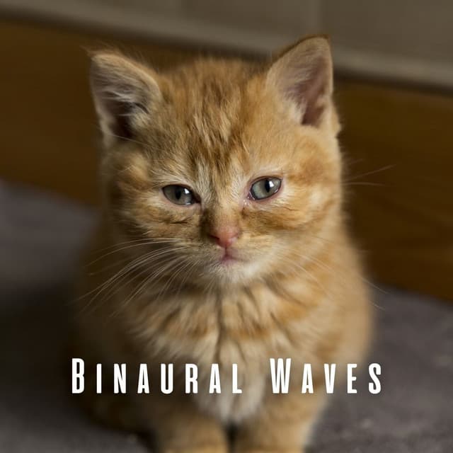 Binaural Waves: Rainy Theta Waves for Soothing Cats - HD Rain and Water