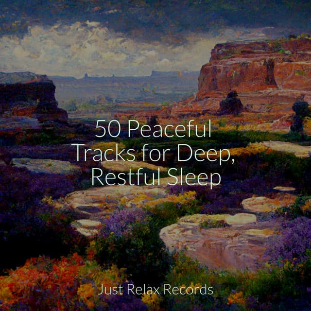 50 Peaceful Tracks for Deep, Restful Sleep - Music For Absolute Sleep