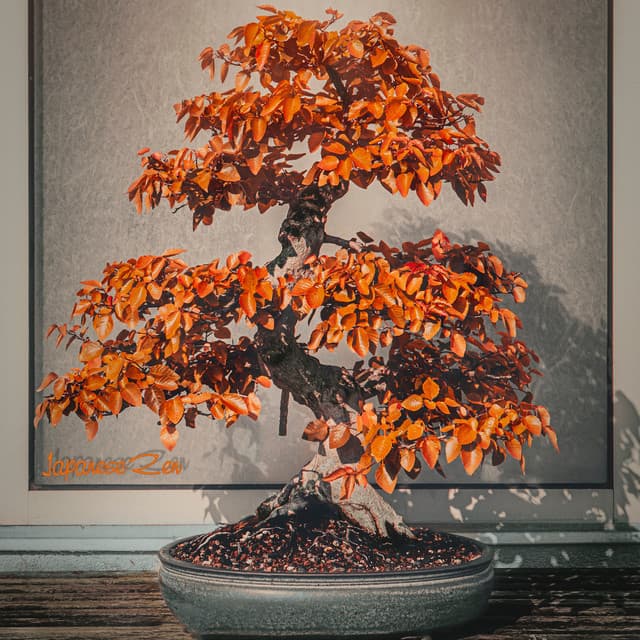 Solace in Serenity: A Melodic Journey through Zen - White Noise Therapy