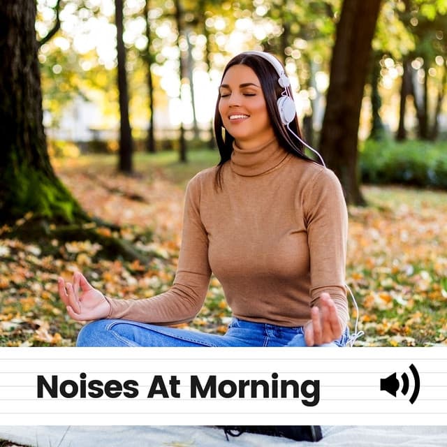 Noises At Morning - White Noise Radiance