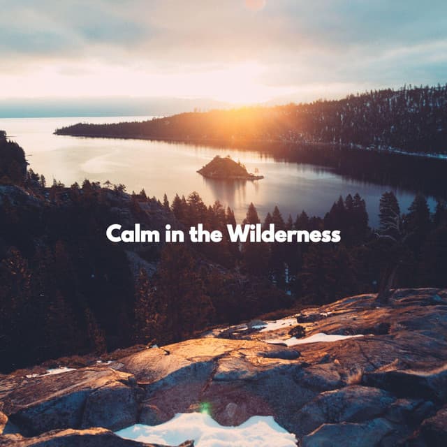 Calm in the Wilderness - Chilled Morning Music