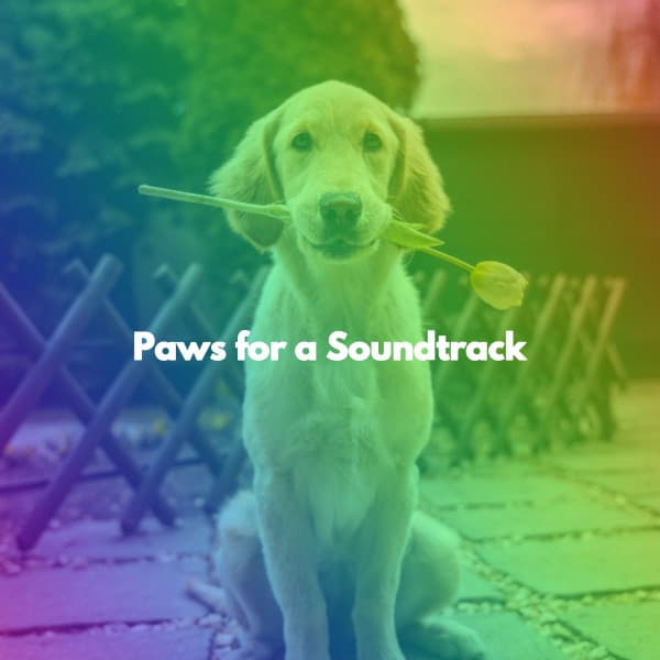 Paws for a Soundtrack - Cafe Jazz BGM