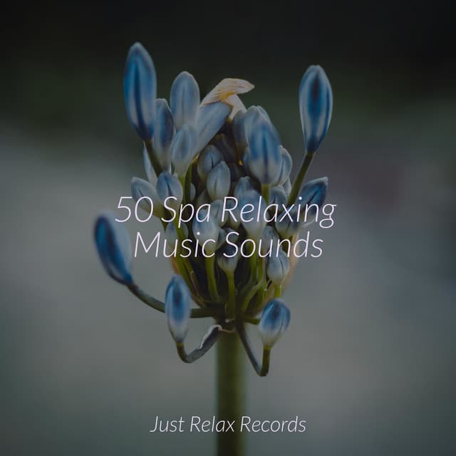 50 Spa Relaxing Music Sounds - Happy Baby Lullaby Collection