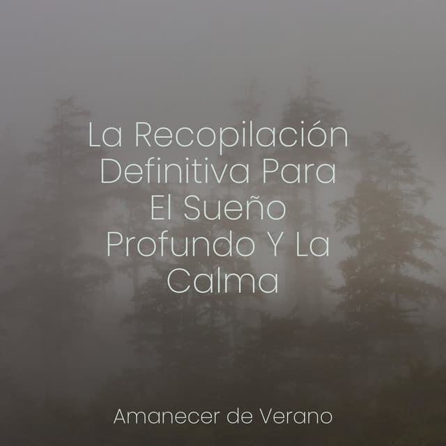La Recopilación Definitiva Para El Sueño Profundo Y La Calma - Sons da Natureza