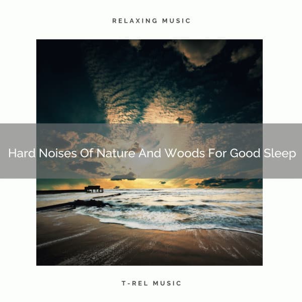 Hard Noises Of Nature And Woods For Good Sleep - Noise Makers