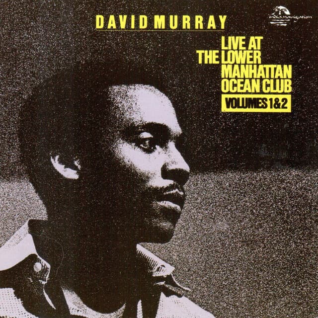 Live at the Lower Manhattan Ocean Club - David Murray