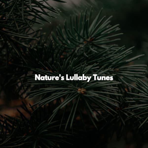 Nature's Lullaby Tunes - Jazz Lounge Bar Radio