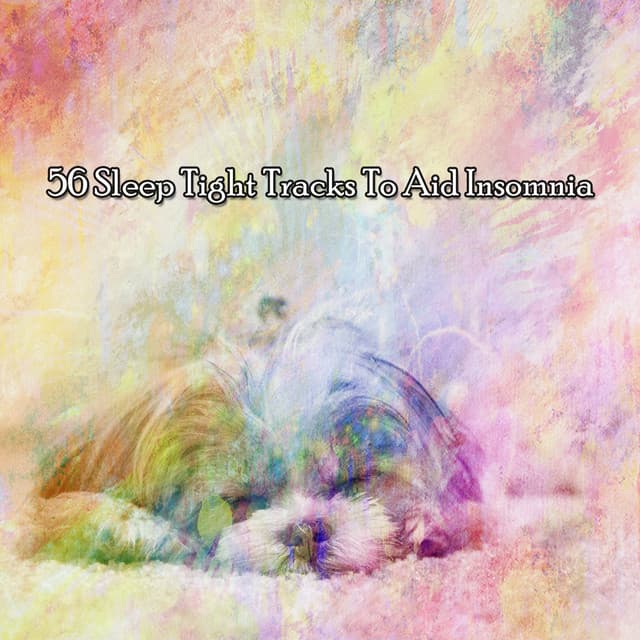 56 Sleep Tight Tracks To Aid Insomnia - Musica para Dormir 101