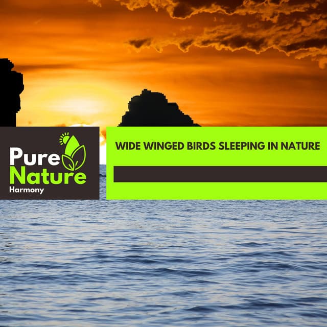 Wide Winged Birds Sleeping in Nature - Nature Field Recordings