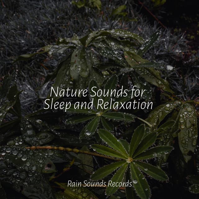 Nature Sounds for Sleep and Relaxation - Instrumental