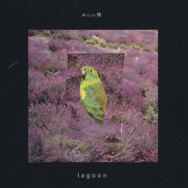 Lagoon - Mujo