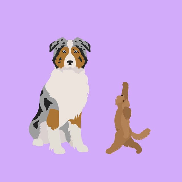 Extraordinary Trio Jazz - Background for Resting Hound - Puppy Music