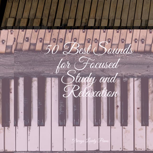 Caring Music | Meditation Focus - Piano Love Songs