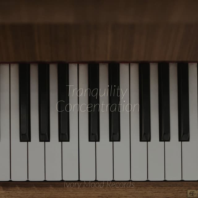Tranquility Concentration - Ivory Mood