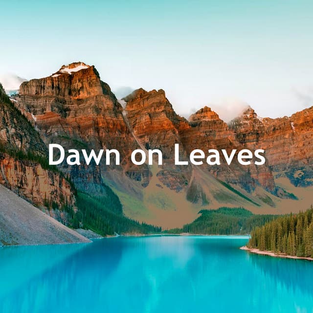 Dawn on Leaves - Sonic Nature