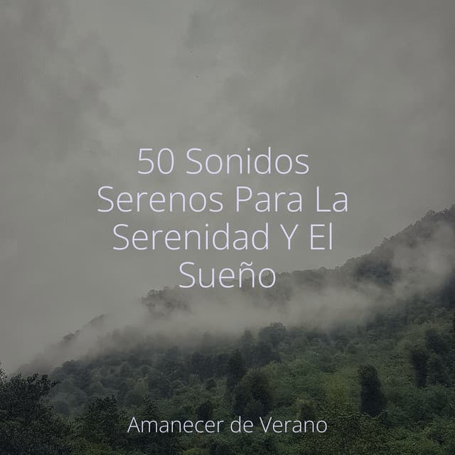 50 Sonidos Serenos Para La Serenidad Y El Sueño - Ambiente