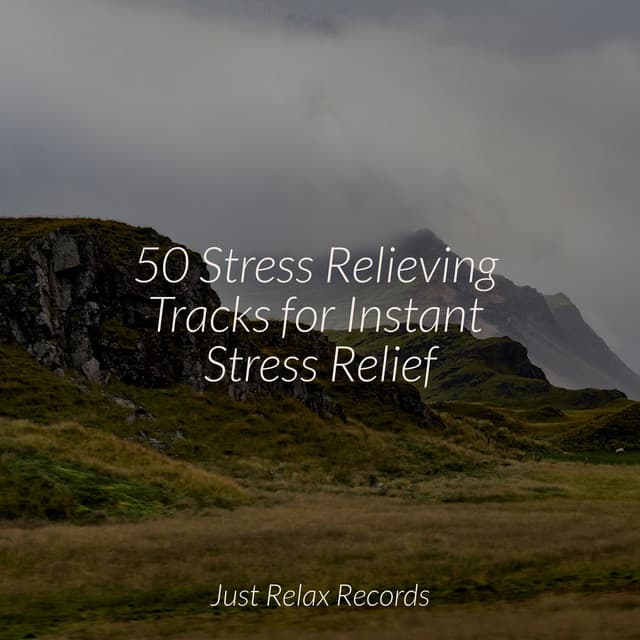 50 Stress Relieving Tracks for Instant Stress Relief - Yoga Namaste